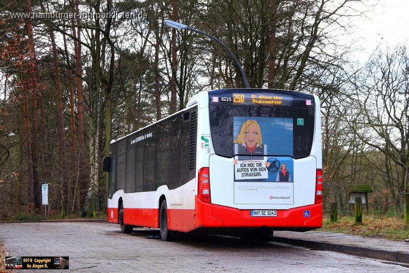 25) 8225-23,SBG,JN.jpg